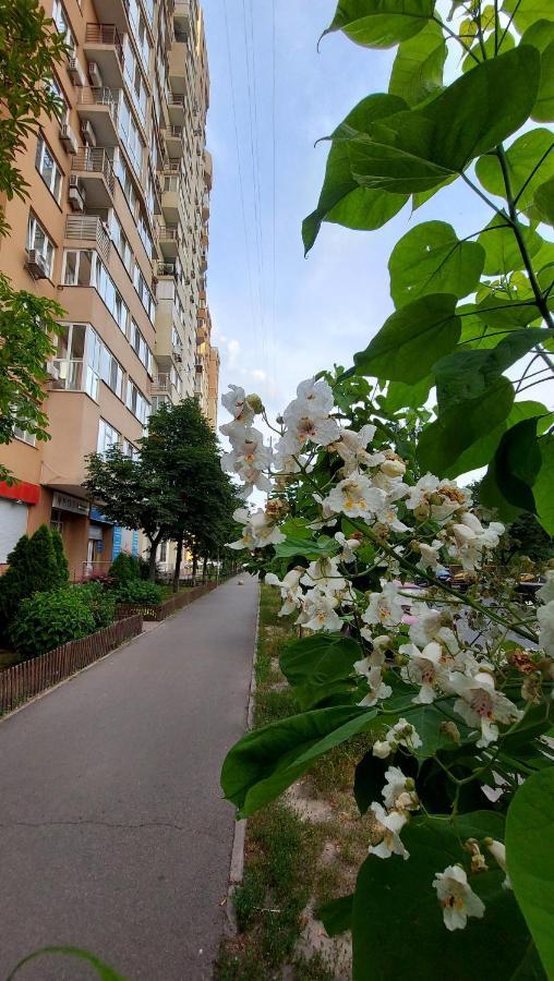 Просторі Апартаменти Kijev Kültér fotó